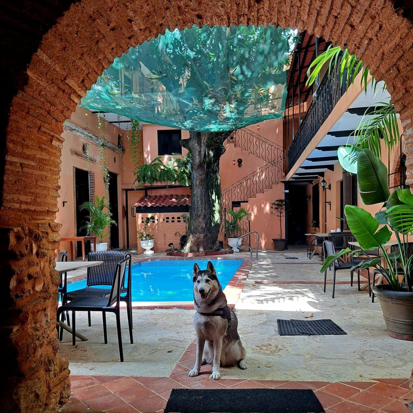 Habitación, desayuno, jacuzzi y piscina Santo Domingo Exterior foto